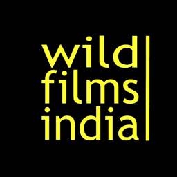 Wild Films India